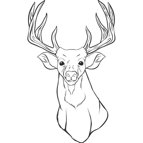 Realistic reindeer coloring pages graphic gorgeous elk deer. Free Printable Deer Coloring Pages For Kids