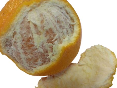 Peeled Orange Free Stock Photo Public Domain Pictures