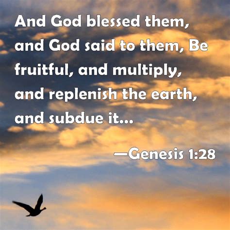 Genesis 128 And God Blessed Them And God Said To Them Be Fruitful