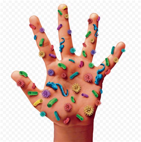 Prevention Infection Hand Germs Bacteria Citypng
