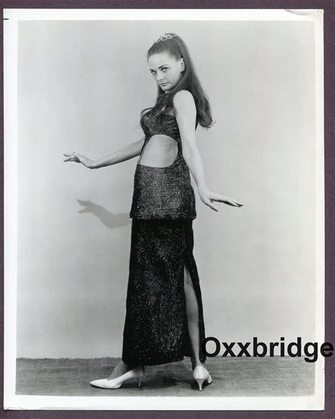Sultry Female Stripper 8x10 Burlesque Dancer 1960 Original Nude Pinup Photo C039 Ebay