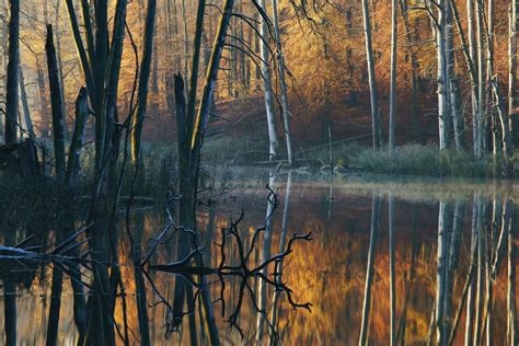 Autumn At The Lake Series By Kilian Schönberger Images Gallery