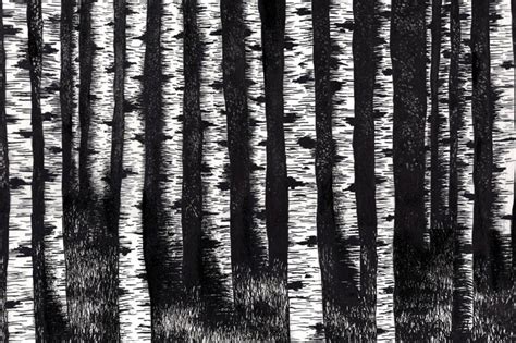 Birch Tree Forest Illustration Pen And Ink Artwork Etsy