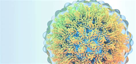Hepatitis b is a serious liver infection caused by the hepatitis b virus (hbv). Ahora es el momento de curar la hepatitis B The Time to ...