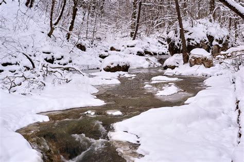 Panorama Of A Winter Mountain Stream With Snow Stock Image Image Of