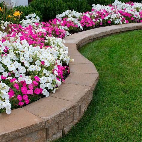 10 Best Small And Simple Flower Bed Ideas Backyard Flowers Beds