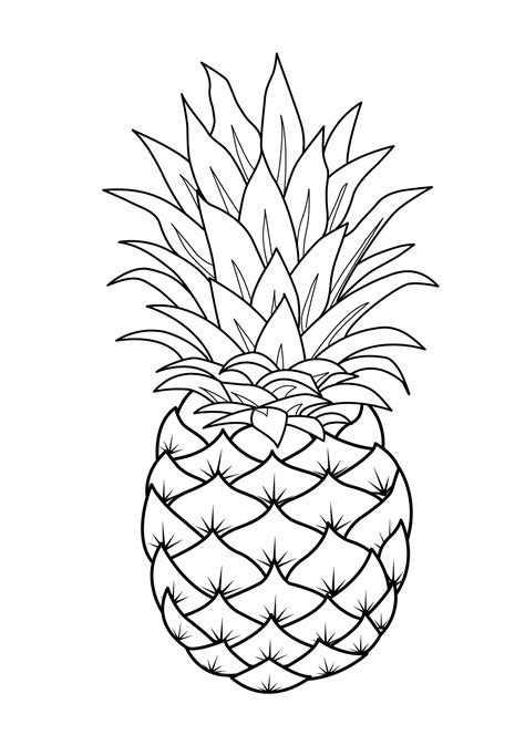Pineapple Fruit Coloring Pages For Students Educative