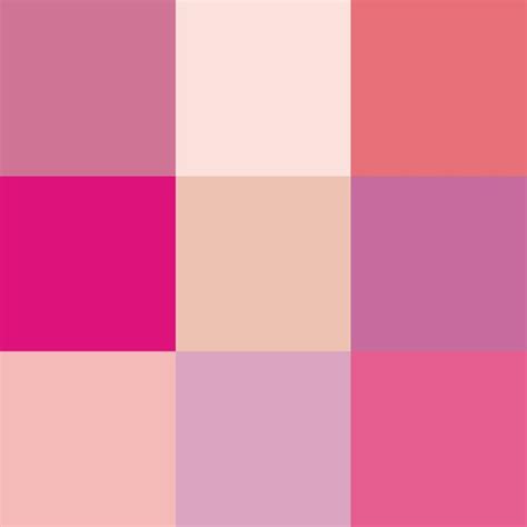 Rosa Color Paletas De Color Rosa Significado De Los Colores