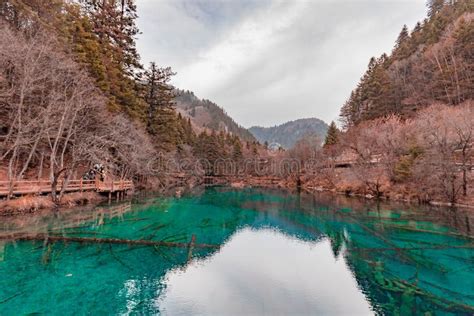 Beautiful Crystal Clear Water Lake View In Jiuzhaigou Stock Photo