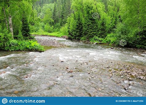 A Stormy Stream Of A Shallow Mountain River Flowing Through The Morning