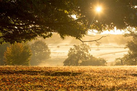 Knole Park In Sevenoaks England Stock Photo Download Image Now Istock