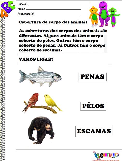 Atividades Cobertura Do Corpo Dos Animais