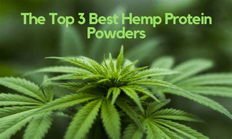 Top 5 Best Hemp Protein Powders Which To Buy