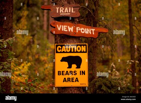 Bear Warning Sign Caution Signs Active Bears In Area Danger Stock