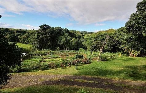 Jetzt günstig deine reise buchen! location Cottage Papangue Sainte-Suzanne Réunion | Reunion ...