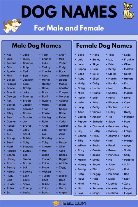Between 1880 and 2019, 5 boys were born with the name jah. Dog Names: 100+ Most Popular Male And Female Dog Names - 7 ...