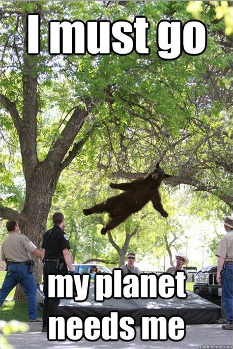 Chances are you have encountered a coworker that is on their way out the door to transition to another employer. My Co-workers mass email saying farewell to the company only contained this. | Bear meme, Funny ...