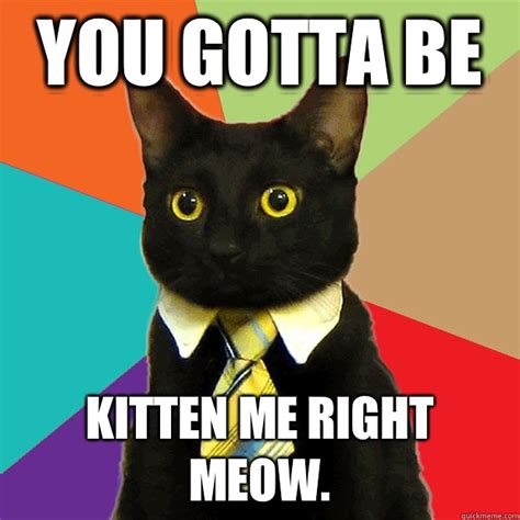 You Gotta Be Kitten Me Right Meow Business Cat Quickmeme