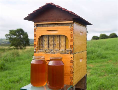 A Quest For Local Honey Beefarm