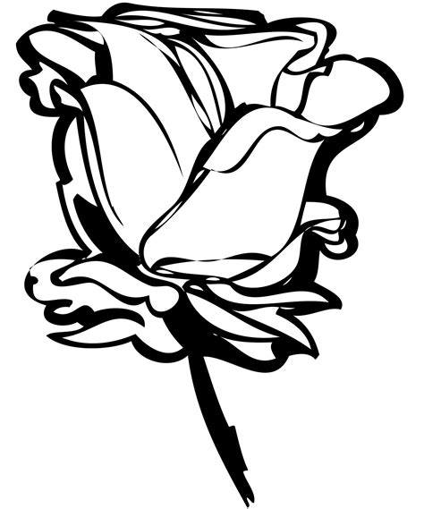 Rose Black And White Clipart Free Download On Clipartmag