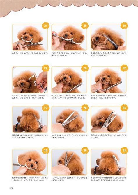 Hair Length Sample Chart For Dog Grooming
