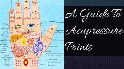 Important Acupressur Points A Complete Guide To Acupressure Points Acupressure Points Chart