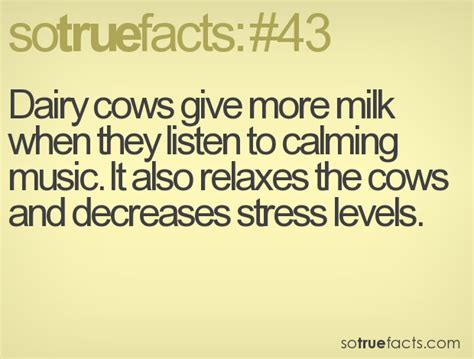 Sotruefacts Fact Number 43 Calming Music Stress Level Wtf Fun Facts