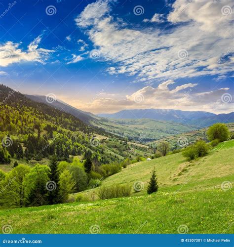 Village On Hillside Meadow With Forest In Mountain Stock Image Image