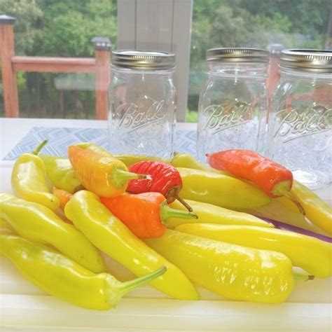 Easy Pickled Banana Pepper Recipe