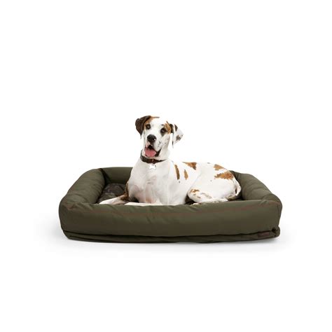 Reddy Indooroutdoor Dog Bed 48 L X 36 W Camo Petco