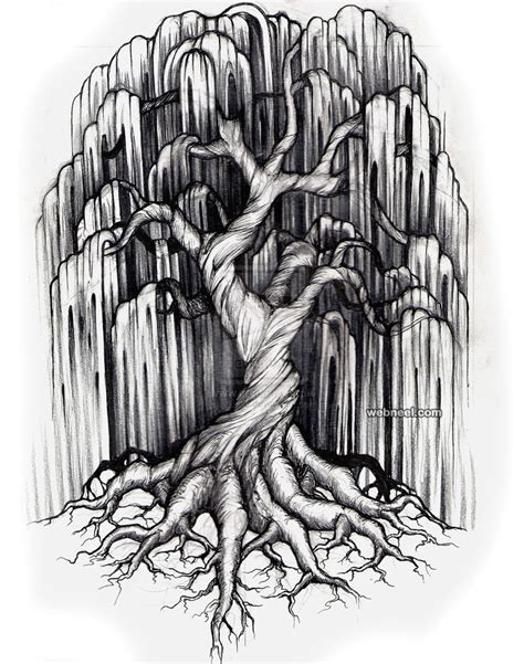 59 Impressive Aesthetic Tree Drawing Images Taryn Dougherty