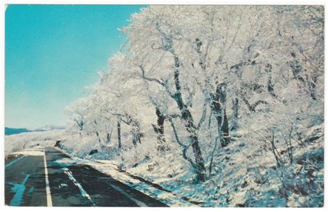 Postcards Usa 740 Winter Scene Blue Ridge Parkway