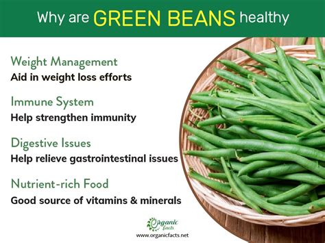 health benefits of green beans in 2021 fruit health benefits green beans benefits vegetable