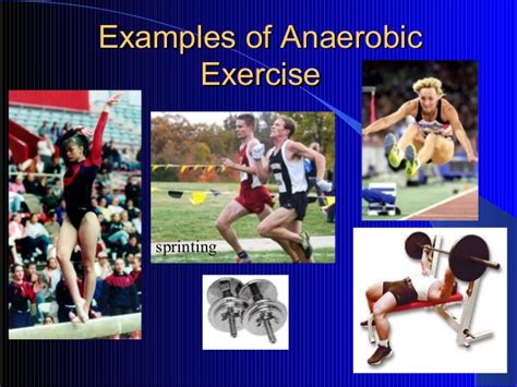 Related online courses on physioplus. Aerobic exercise and Anaerobic exercise