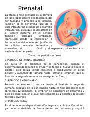 Prenatal Docx Prenatal La Etapa O Fase Prenatal Es La Primera De Las