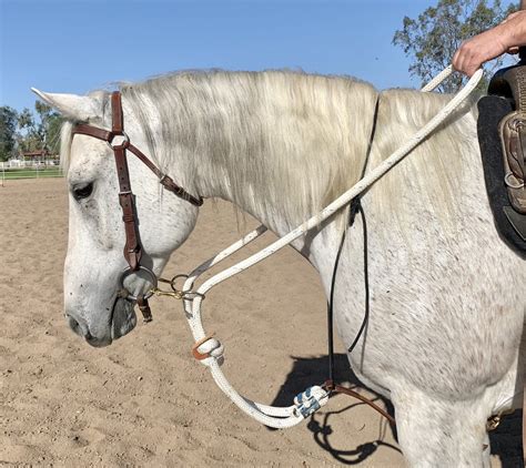 White 34 Rope Draw Reins Roohide Saddlery