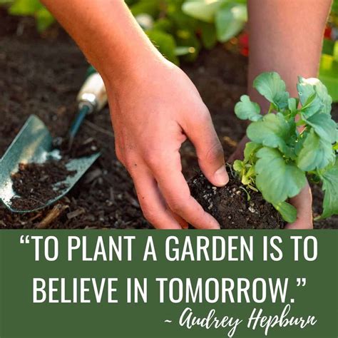 29 Great Gardening Quotes