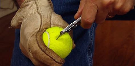 Bear opens car door of tourist family. Tennis Ball Scuff Mark Remover | Today's Homeowner