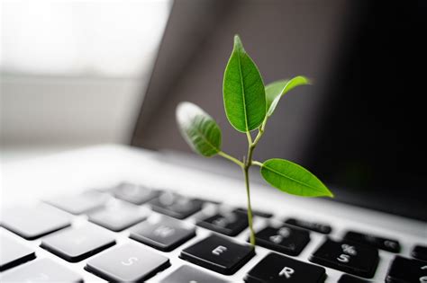 Green It 5 Ways To Implement Sustainable Computing