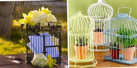 Our selection of charming bird decor and bird home accents includes wall art, window treatments, and lamps. Decoration of decor or how to use a cage for birds in the ...