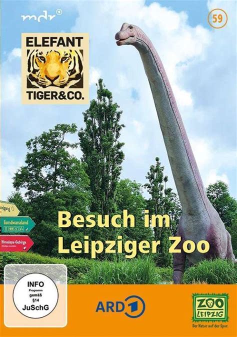 Elefant Tiger And Co Teil 59 Besuch Im Leipziger Zoo 2 Dvds Jpc