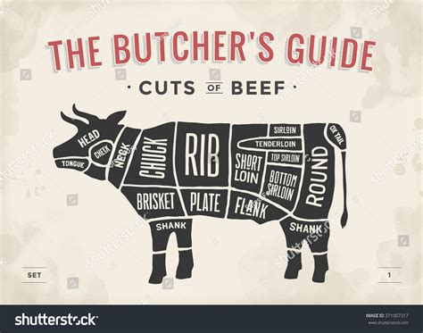 Cut Beef Set Poster Butcher Diagram Stock Vector Royalty Free