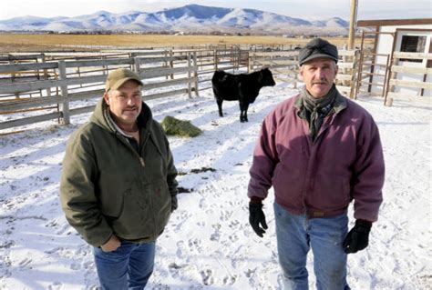 Mission Valley Families To Auction Heifers Again And Again To Help Sd