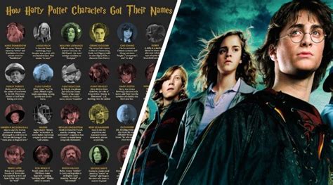 The True Meaning Of Each Harry Potter Character Name Explained Inside