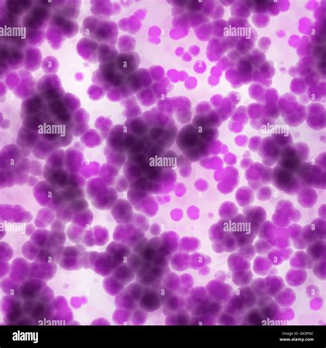 Microscopic Cells Hi Res Stock Photography And Images Alamy