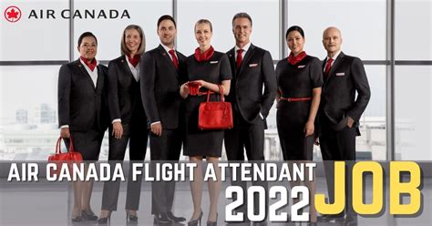 How To Become A Flight Attendant Canada Resortanxiety21
