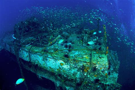 6 Best Dive Sites Around Phi Phi Islands Phi Phi Island Diving Go