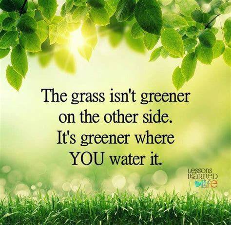 The Grass Isnt Greener On The Other Side Its Greener Where You Water