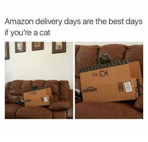 Amazon Delivery Days Are The Best Days If Youre A Cat Amazon Meme On
