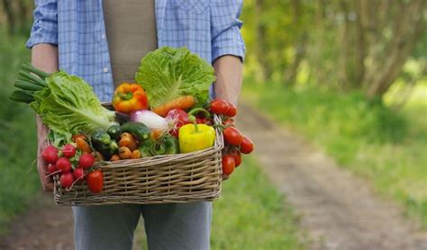 Il Mercato Dei Prodotti Biologici In Crescita In Europa Gadi